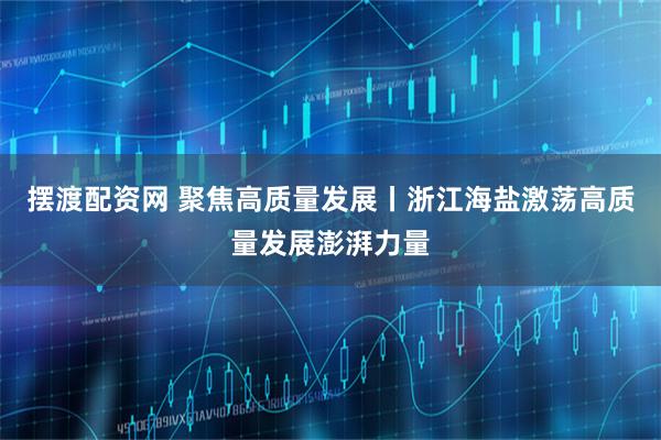 摆渡配资网 聚焦高质量发展丨浙江海盐激荡高质量发展澎湃力量