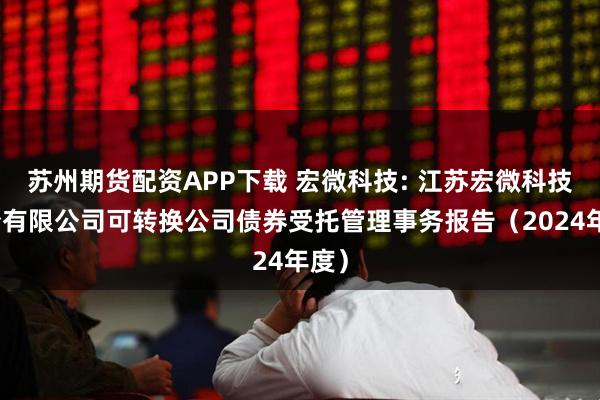 苏州期货配资APP下载 宏微科技: 江苏宏微科技股份有限公司可转换公司债券受托管理事务报告（2024年度）