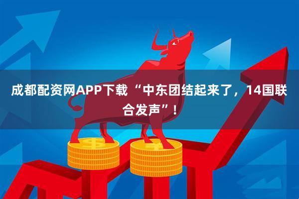 成都配资网APP下载 “中东团结起来了，14国联合发声”！