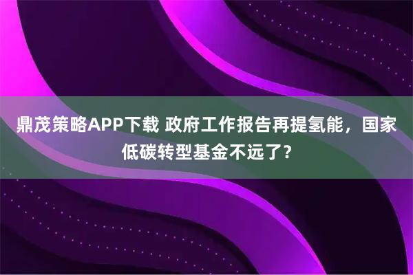 鼎茂策略APP下载 政府工作报告再提氢能，国家低碳转型基金不远了？