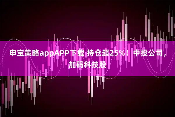申宝策略appAPP下载 持仓超25%！中投公司，加码科技股
